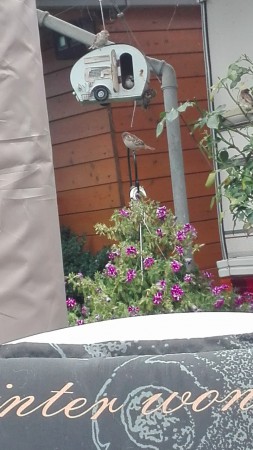Vogelhäuschen